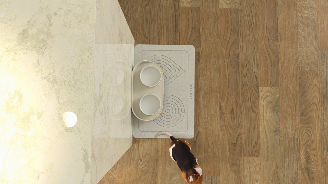 The "Slobber Shield": Why Dog Owners Are Switching to Stone Mats