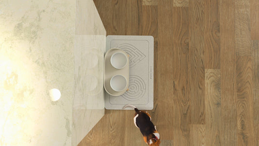 The "Slobber Shield": Why Dog Owners Are Switching to Stone Mats