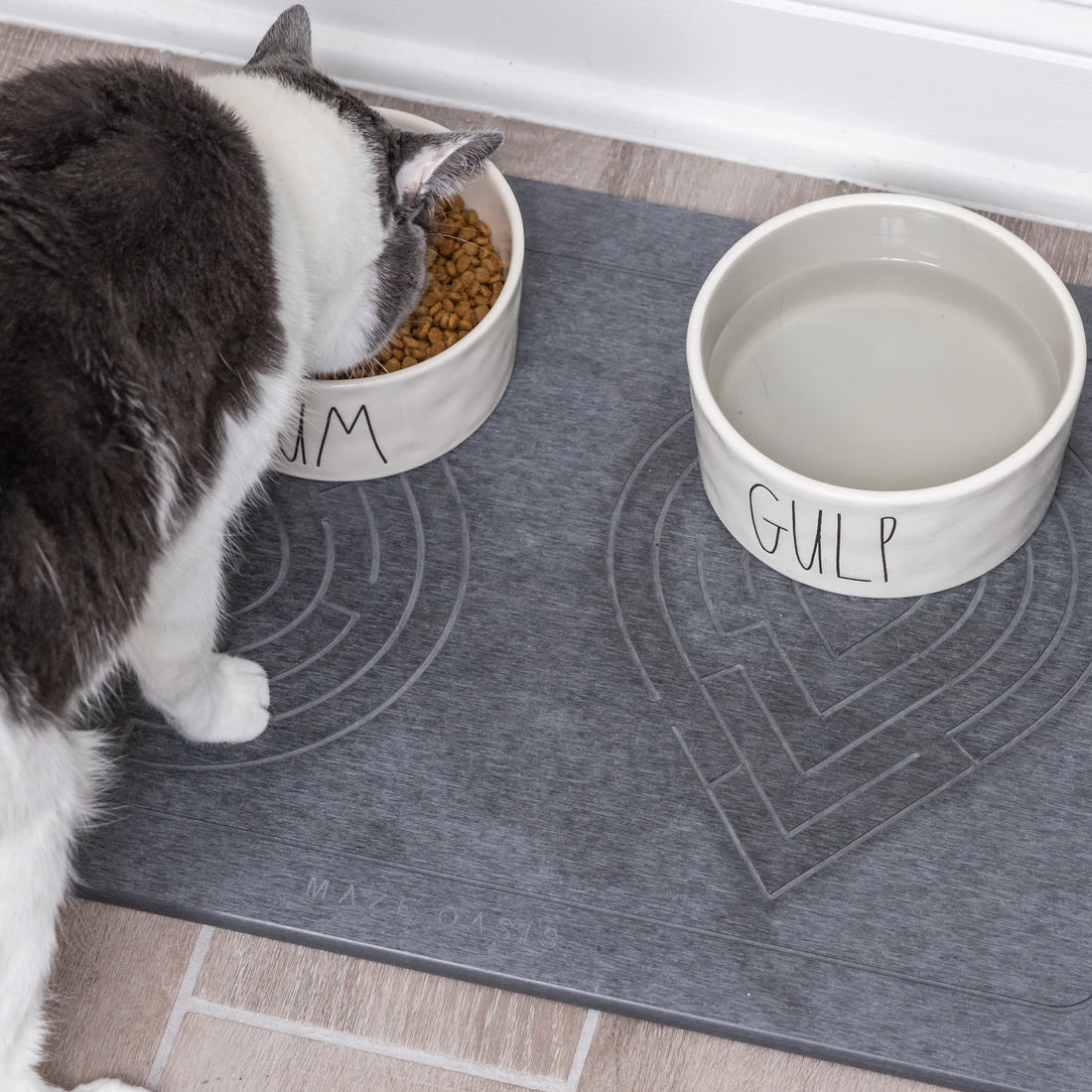 Cat Static Mat Best Cat Litter Mat? Why Stone Stops Tracking Better. – Maze Oasis