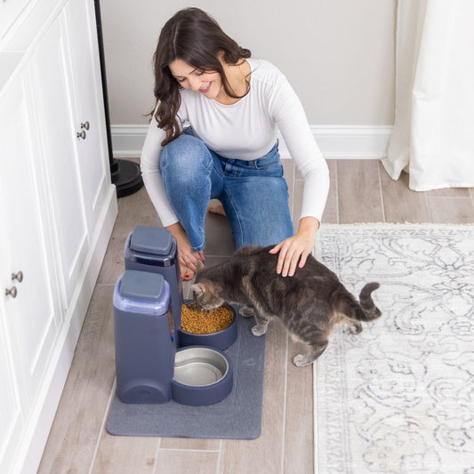 Beyond Clean: How the Right Home Solutions Transform Your Space into a Sanctuary of Health and Serenity