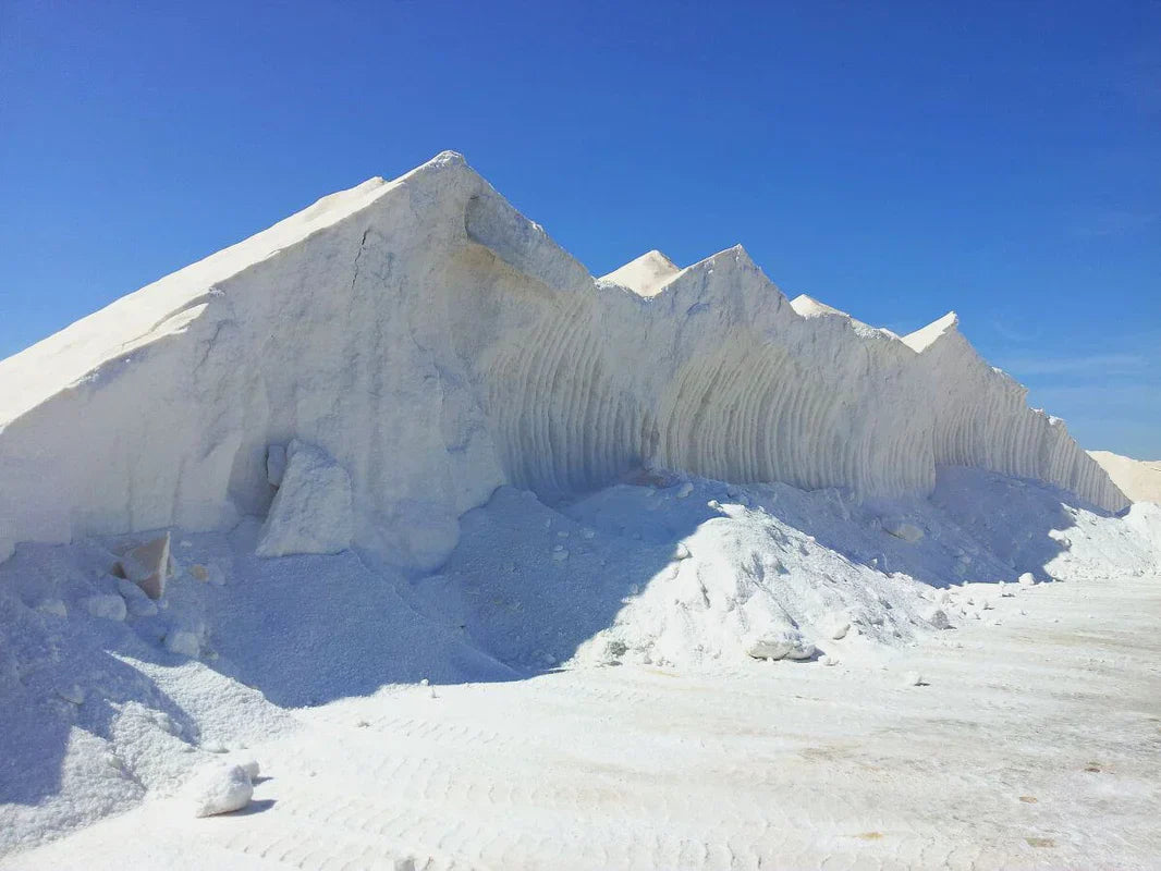 The Stone Age 2.0: The Definitive Buyer’s Guide to Diatomaceous Earth & Active Drying Technology